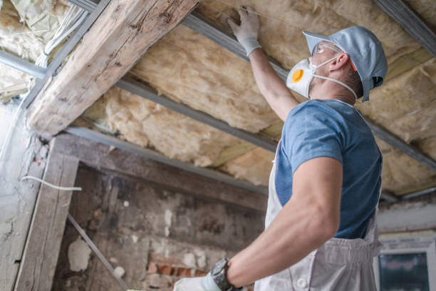 Best Insulation Installation Services in Town And Country, MO